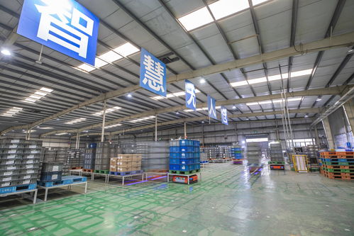 重慶 以智能化驅動轉型升級，汽車零配件批發行業質效雙提升