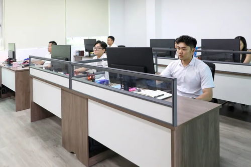 謝崗文旅發展正式揭牌，商業綜合體管理服務助力區域發展加速鍵